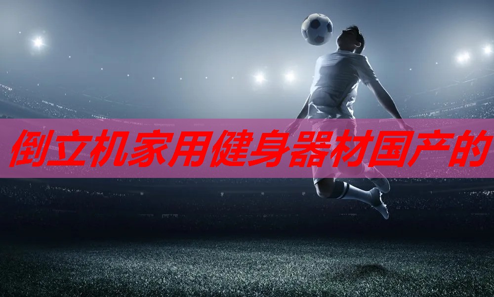 倒立机家用健身器材国产的