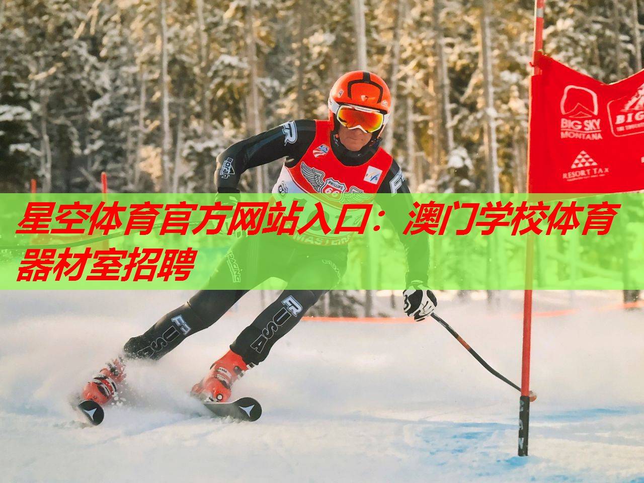 星空体育官方网站入口：澳门学校体育器材室招聘