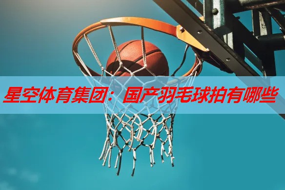 星空体育集团：国产羽毛球拍有哪些