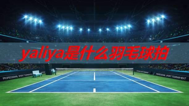 yaliya是什么羽毛球拍