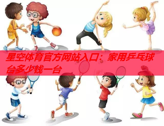 星空体育官方网站入口：家用乒乓球台多少钱一台
