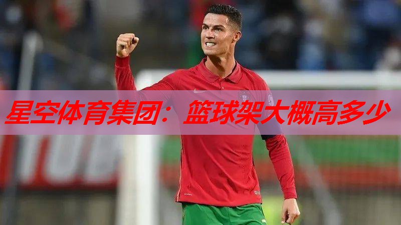星空体育集团：篮球架大概高多少