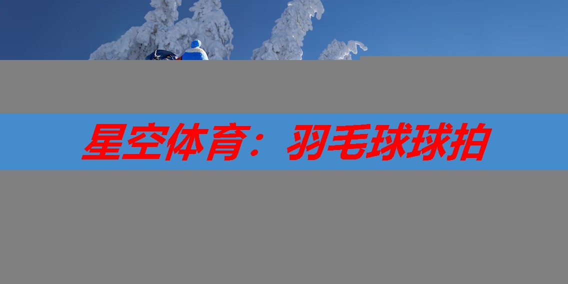 星空体育：羽毛球球拍