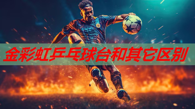 金彩虹乒乓球台和其它区别