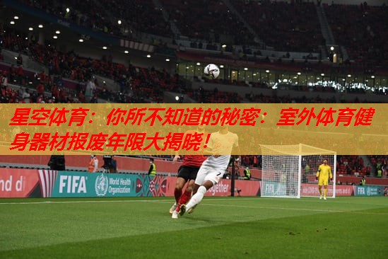 你所不知道的秘密:室外体育健身器材报废年限大揭晓! 你所不知道的秘密:室外体育健身器材报废年限大揭晓!
