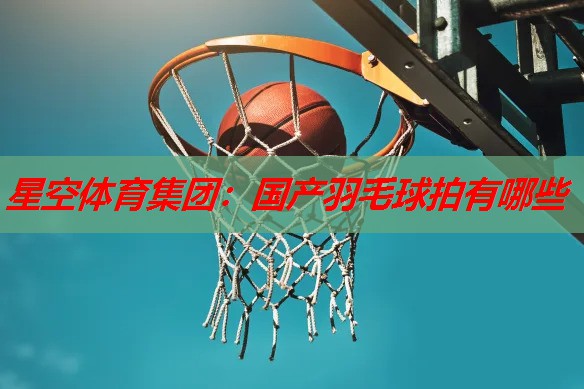 国产羽毛球拍有哪些 国产羽毛球拍有哪些