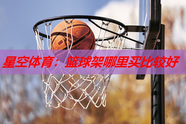 篮球架哪里买比较好 篮球架哪里买比较好