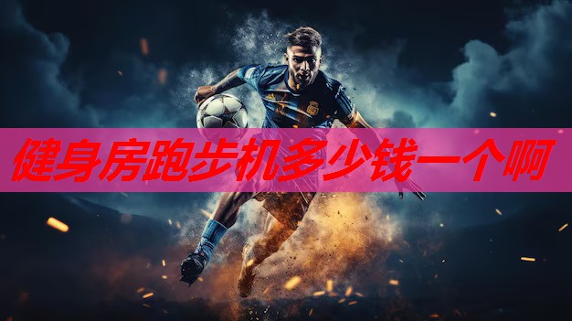 健身房跑步机多少钱一个啊 健身房跑步机多少钱一个啊