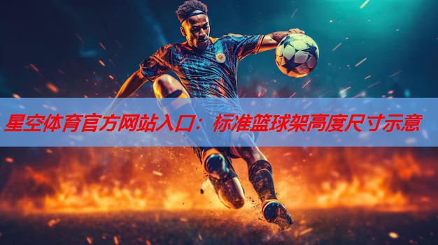 标准篮球架高度尺寸示意 标准篮球架高度尺寸示意