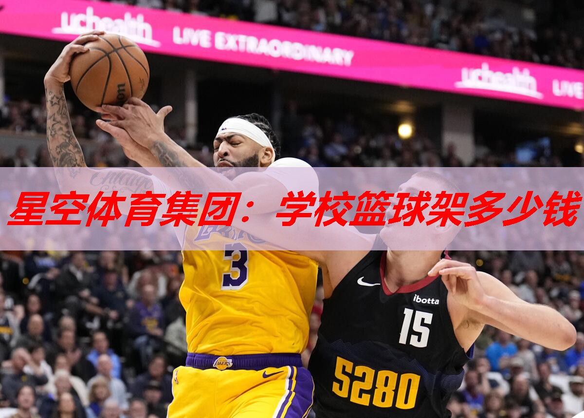 学校篮球架多少钱 学校篮球架多少钱