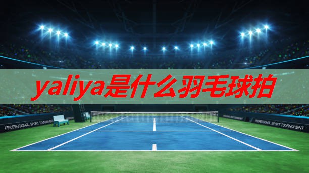 yaliya是什么羽毛球拍 yaliya是什么羽毛球拍