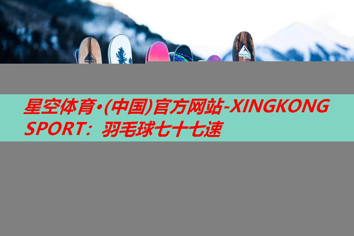 羽毛球七十七速 羽毛球七十七速