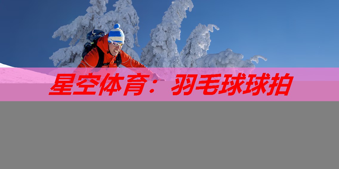 羽毛球球拍 羽毛球球拍
