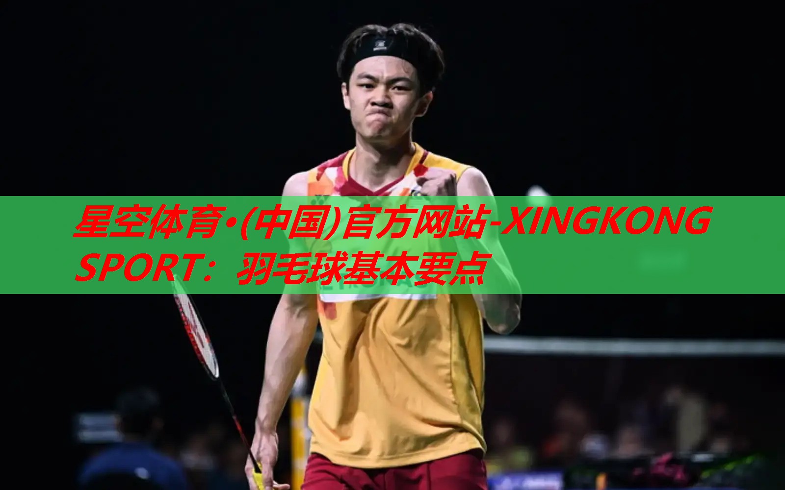 羽毛球基本要点 羽毛球基本要点
