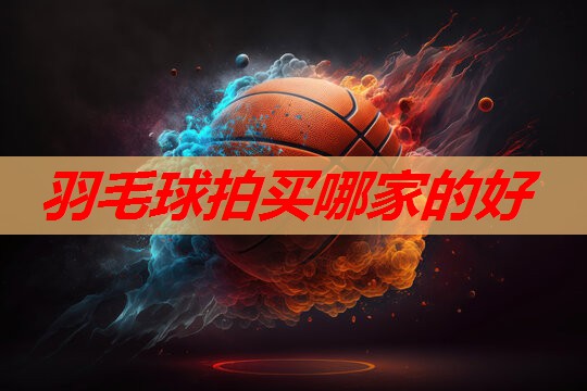 羽毛球拍买哪家的好 羽毛球拍买哪家的好